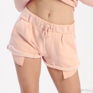 Wildfox Couture Cotton Candy Quentin shorts
